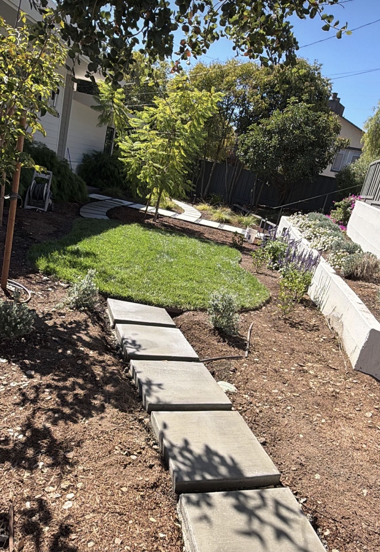 CHR concrete stepping path through planting and lawn